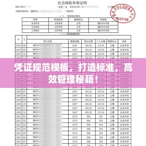 憑證規范模板,打造標準,高效管理秘籍!