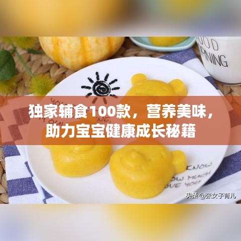 獨(dú)家輔食100款,營(yíng)養(yǎng)美味,助力寶寶健康成長(zhǎng)秘籍