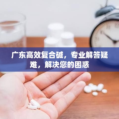 廣東高效復合堿,專業(yè)解答疑難,解決您的困惑