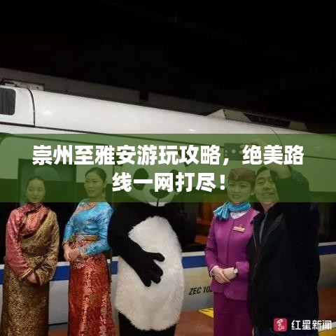 崇州至雅安游玩攻略,絕美路線一網(wǎng)打盡!