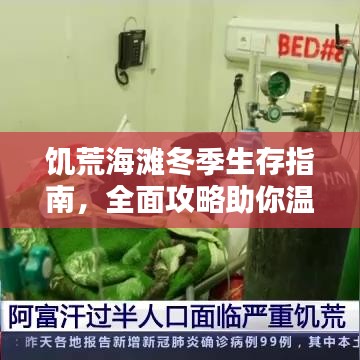 饑荒海灘冬季生存指南,全面攻略助你溫暖過冬