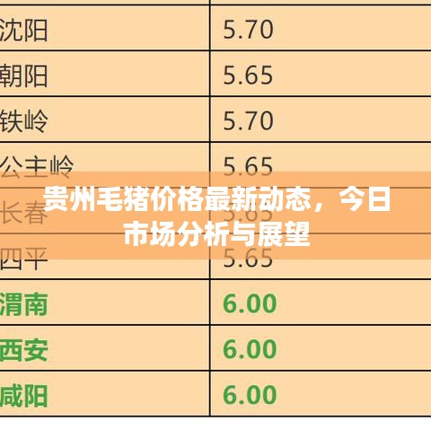 貴州毛豬價格最新動態,今日市場分析與展望