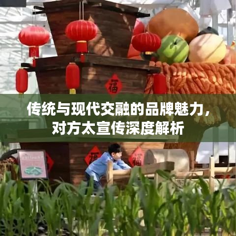 傳統(tǒng)與現(xiàn)代交融的品牌魅力,對方太宣傳深度解析