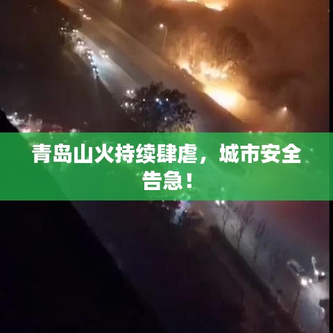 青島山火持續肆虐,城市安全告急!