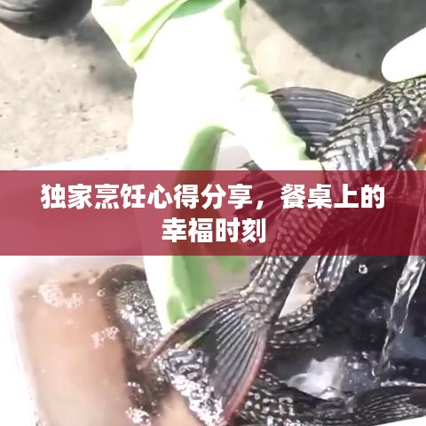 獨(dú)家烹飪心得分享,餐桌上的幸福時(shí)刻