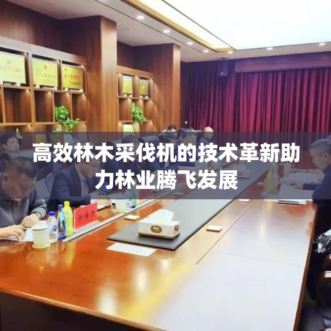 高效林木采伐機的技術革新助力林業騰飛發展