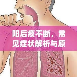 陽后痰不斷，常見癥狀解析與原因探究