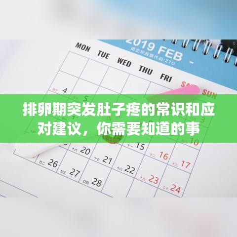 張三李四 第2頁(yè)