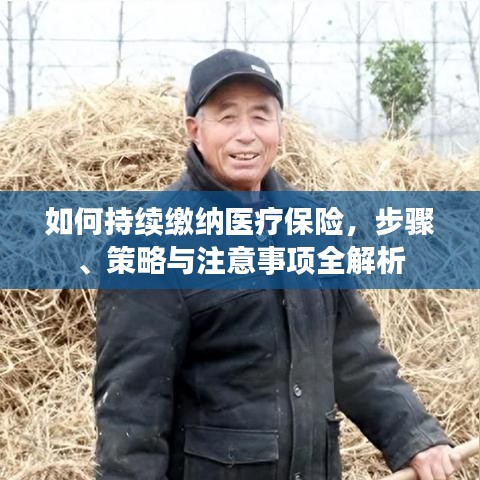 如何持續繳納醫療保險,步驟、策略與注意事項全解析