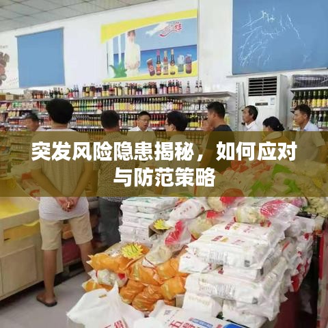 突發風險隱患揭秘,如何應對與防范策略