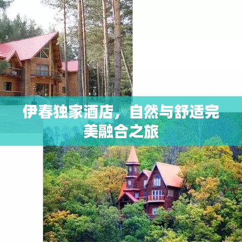 伊春獨家酒店,自然與舒適完美融合之旅