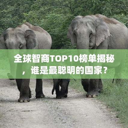 全球智商TOP10榜單揭秘,誰是最聰明的國家?