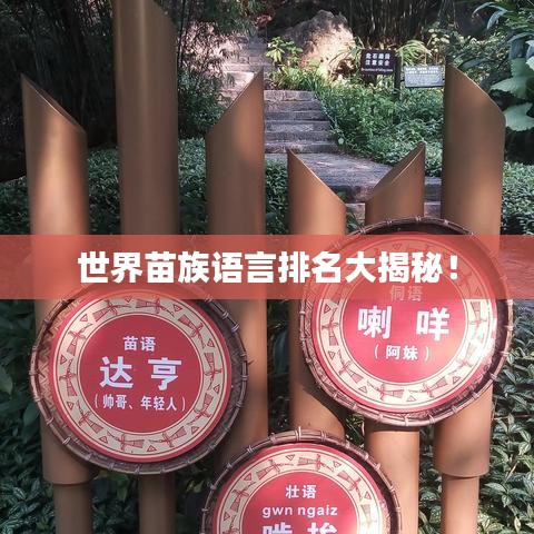 世界苗族語言排名大揭秘！