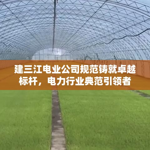 建三江電業公司規范鑄就卓越標桿,電力行業典范引領者