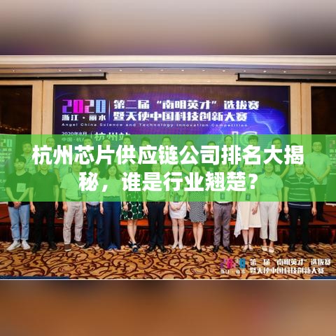 杭州芯片供應鏈公司排名大揭秘,誰是行業翹楚?
