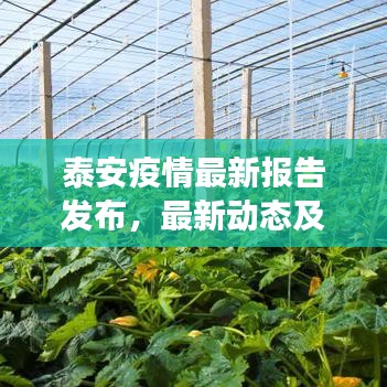 泰安疫情最新報告發布,最新動態及防控進展揭秘!