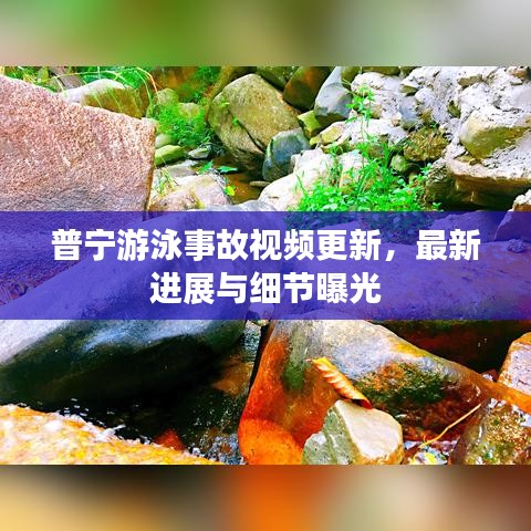 普寧游泳事故視頻更新,最新進展與細節(jié)曝光