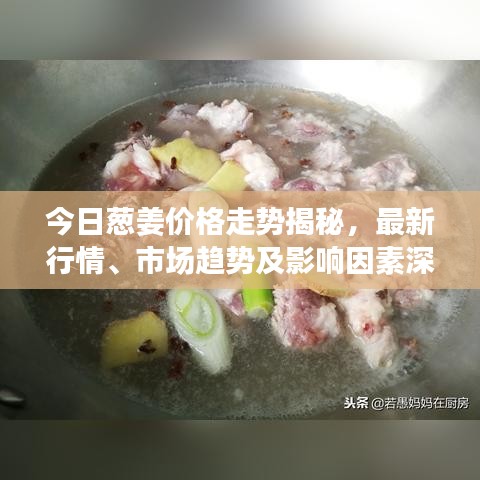 炙手可熱 第2頁