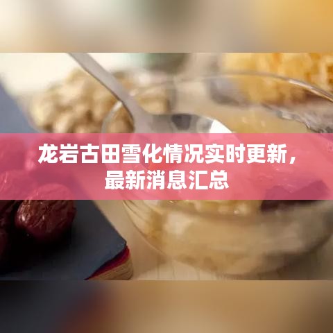 龍巖古田雪化情況實時更新，最新消息匯總