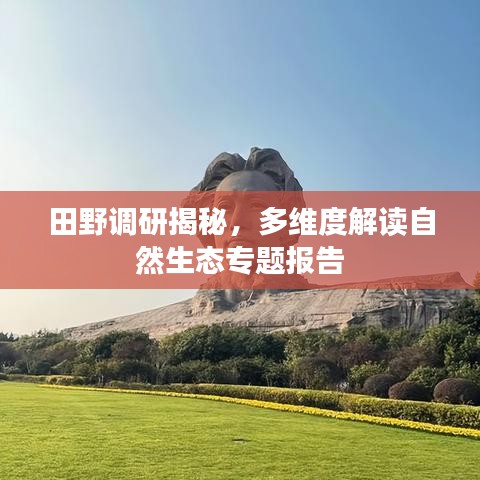 田野調研揭秘,多維度解讀自然生態專題報告