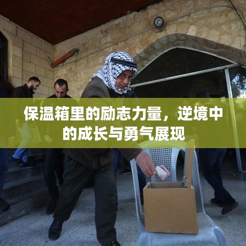 保溫箱里的勵志力量,逆境中的成長與勇氣展現(xiàn)
