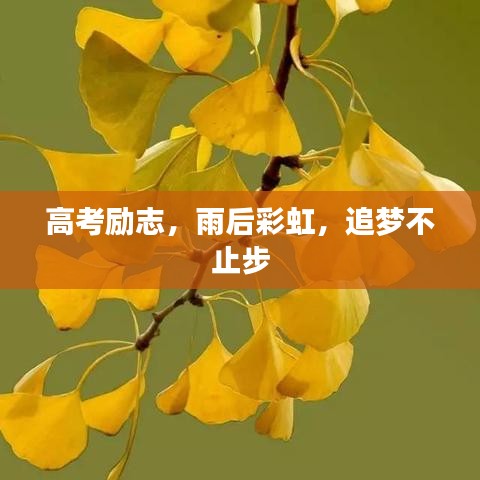 高考勵志,雨后彩虹,追夢不止步