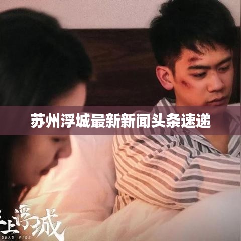 蘇州浮城最新新聞頭條速遞