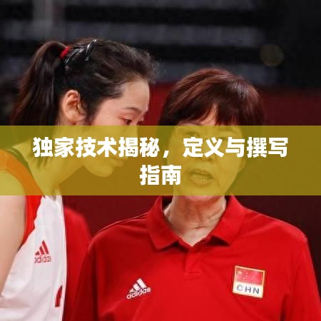 獨家技術揭秘,定義與撰寫指南