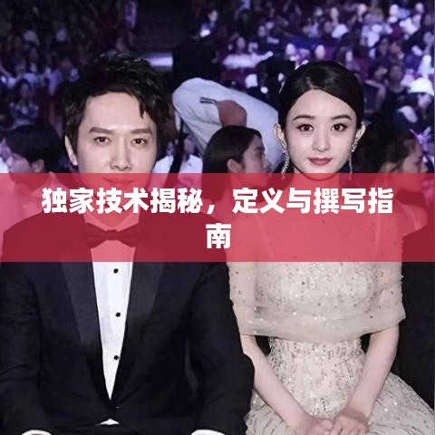 獨家技術揭秘,定義與撰寫指南
