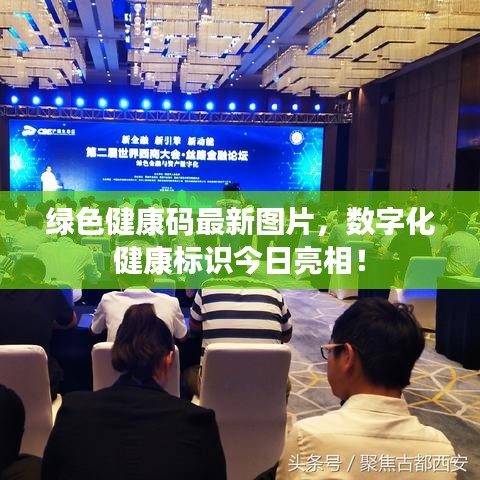 綠色健康碼最新圖片,數(shù)字化健康標識今日亮相!