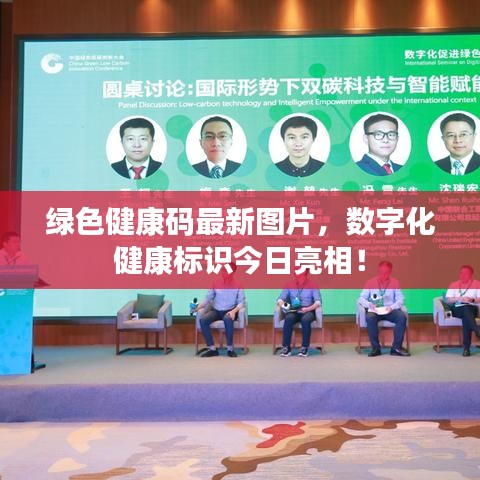 綠色健康碼最新圖片,數字化健康標識今日亮相!