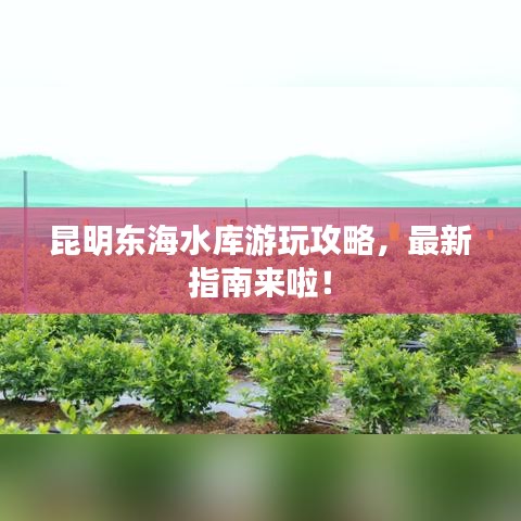 昆明東海水庫游玩攻略,最新指南來啦!