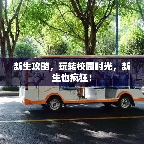 新生攻略，玩轉校園時光，新生也瘋狂！