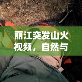 麗江突發山火視頻,自然與人為的災難警示
