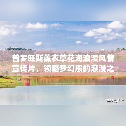 普羅旺斯薰衣草花海浪漫風(fēng)情宣傳片,領(lǐng)略夢(mèng)幻般的浪漫之旅!