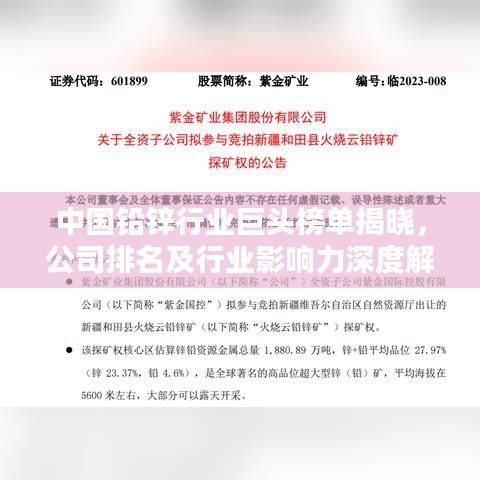 中國鉛鋅行業(yè)巨頭榜單揭曉,公司排名及行業(yè)影響力深度解析