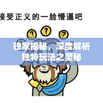 獨(dú)家揭秘,深度解析獨(dú)特玩法之奧秘