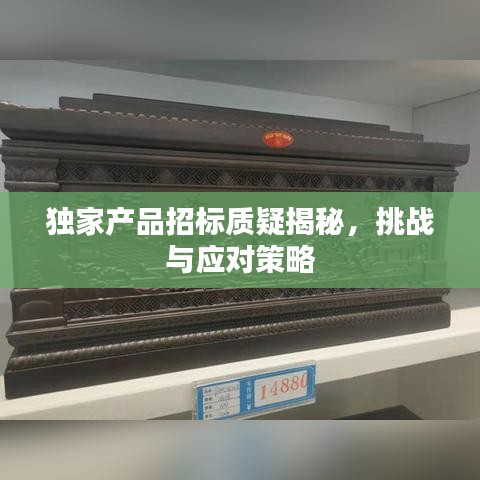 獨家產品招標質疑揭秘,挑戰與應對策略