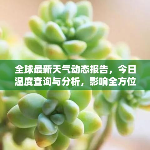 全球最新天氣動態報告,今日溫度查詢與分析,影響全方位解讀
