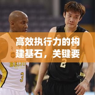 高效執行力的構建基石，關鍵要素與策略實施