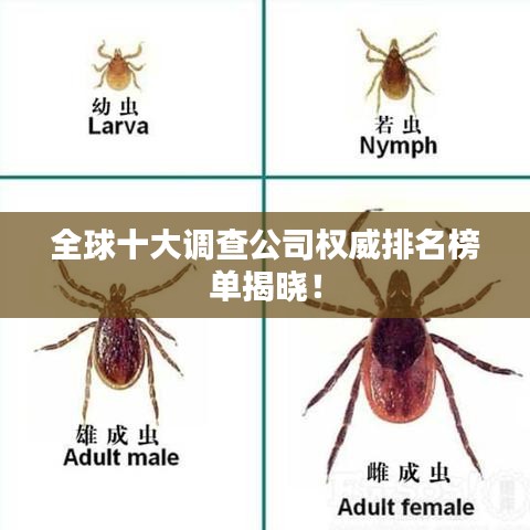 窮鳥入懷 第2頁