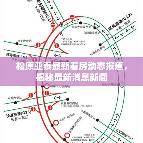 松原亞泰最新看房動(dòng)態(tài)報(bào)道,揭秘最新消息新聞